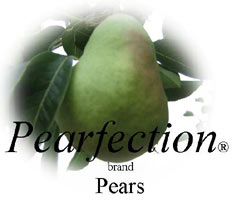 Buy Pears Online Organic Bartlett Pears